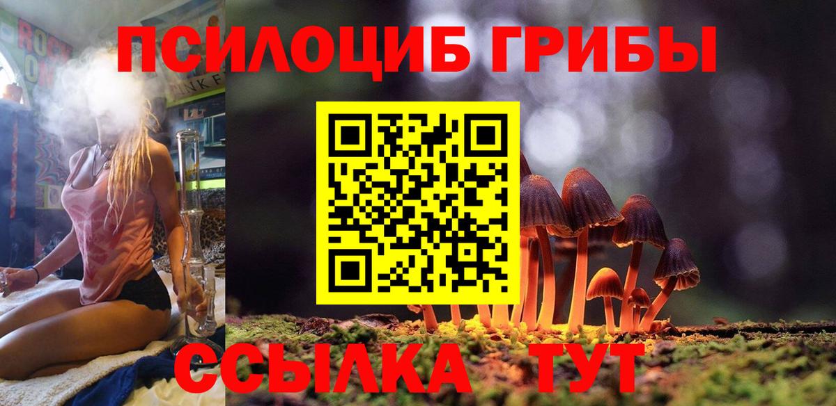 Псилоцибиновые грибы мицелий  Вход с VPN  Михайловка 